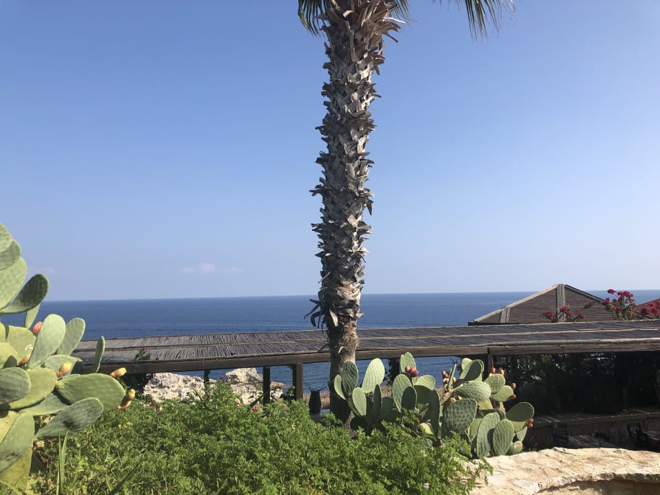 Außenansicht Hotel Kalithea Horizon Royal