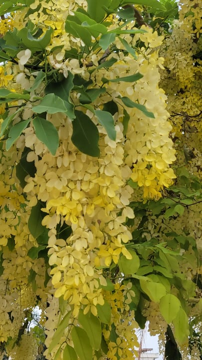 Sonstiges Hilton Hurghada Plaza