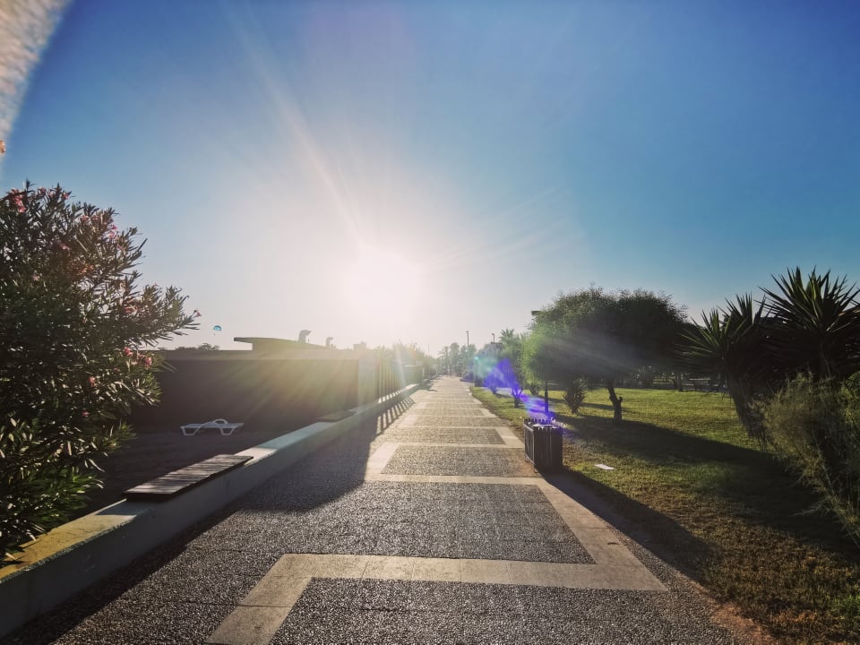 Gartenanlage Aydinbey Kings Palace & Spa