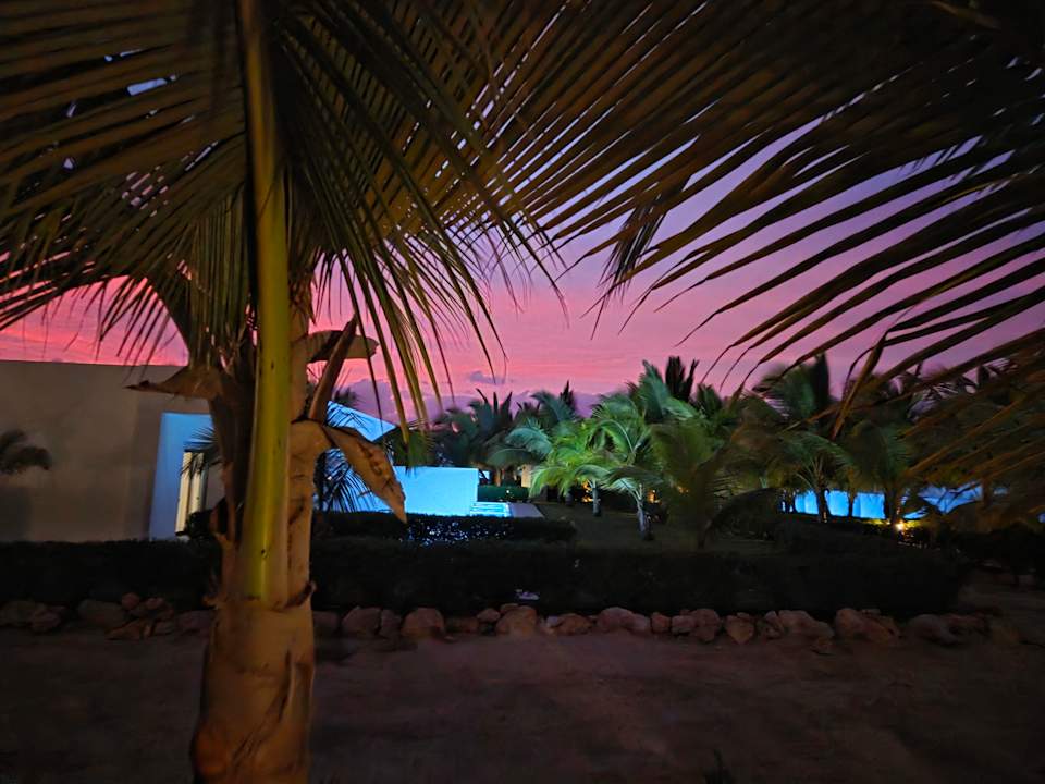 Gartenanlage Hotel Riu Palace Boavista