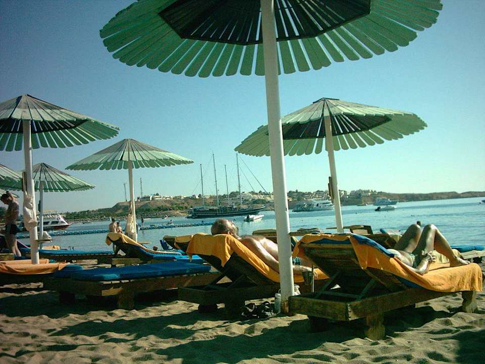 Der Strand,sehr sauber und das Wasser sehr klar Ghazala Gardens