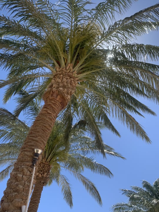 Sonstiges Sentido Caribbean World Soma Bay