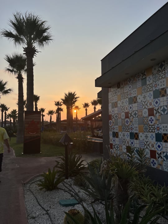 Gartenanlage Megasaray Club Belek