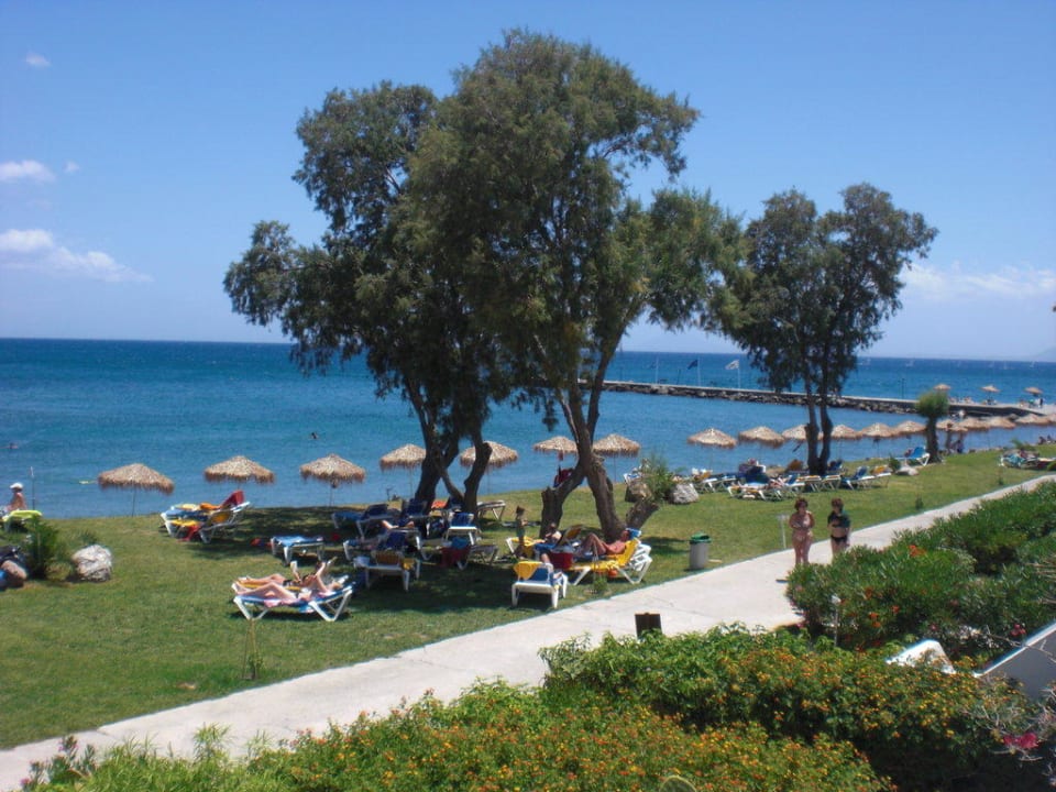 Liegewiese TUI BLUE Oceanis Beach and Spa Resort