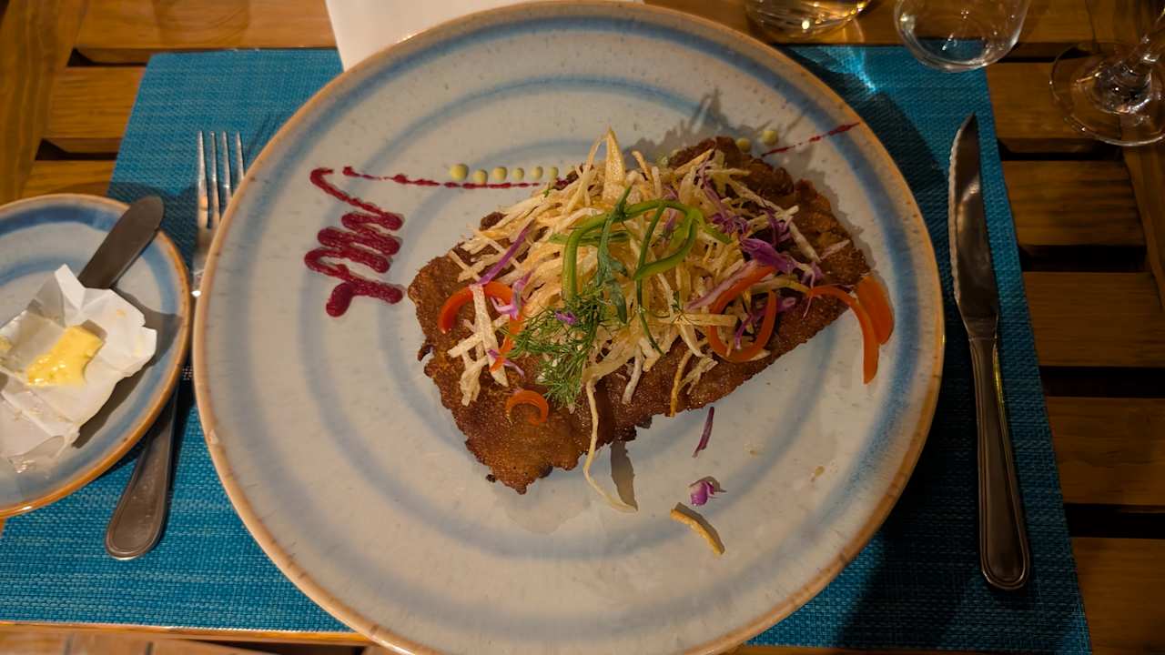 Gastro JAZ Elite Asteria