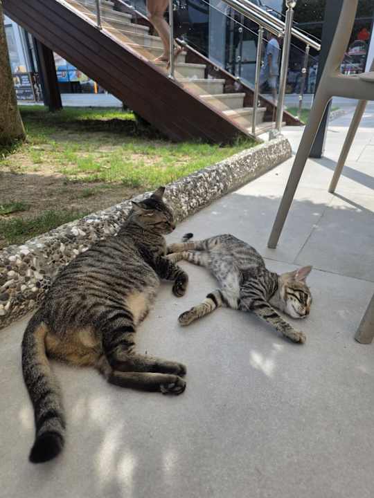 Gartenanlage Grand Seker Hotel