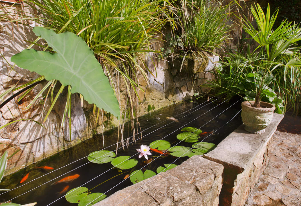 Garden Hotel GHT Neptuno