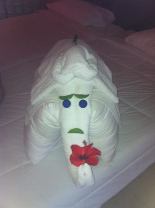 Bettdeko Shams Prestige Abu Soma-Adults Only