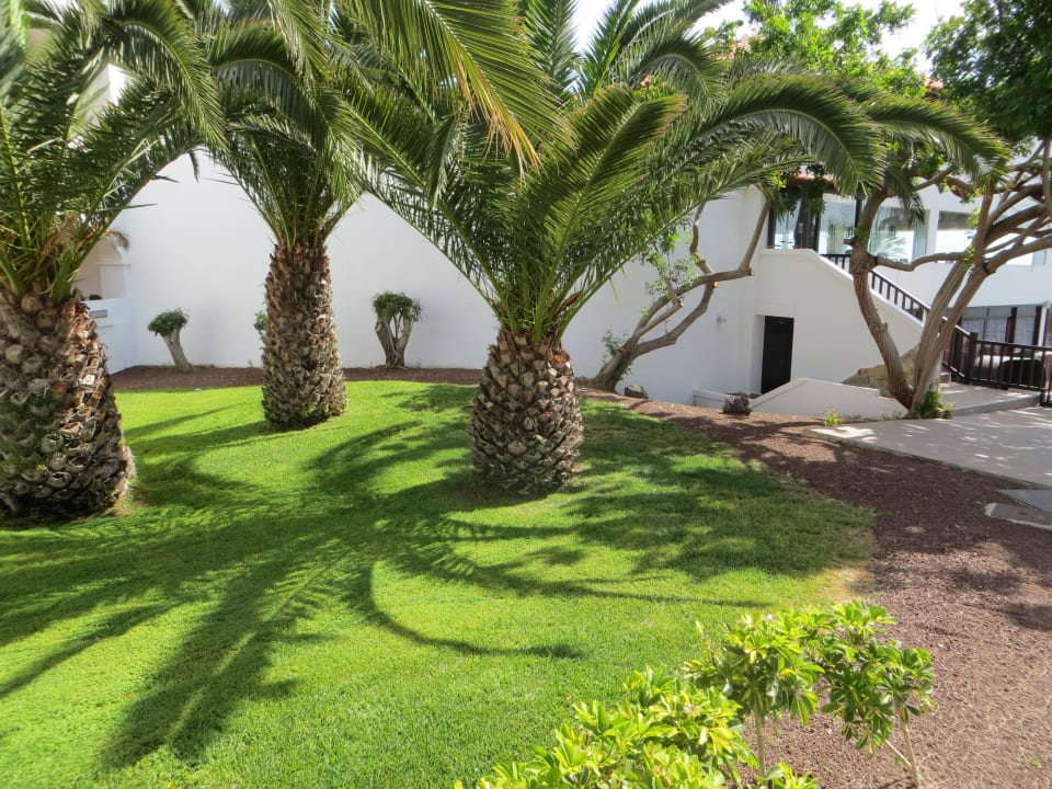 Der Weg zur Chill Out Bereich der Privat Lodg TUI MAGIC LIFE Fuerteventura