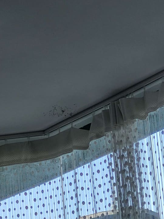 Gastro MPM Hotel Kalina Garden