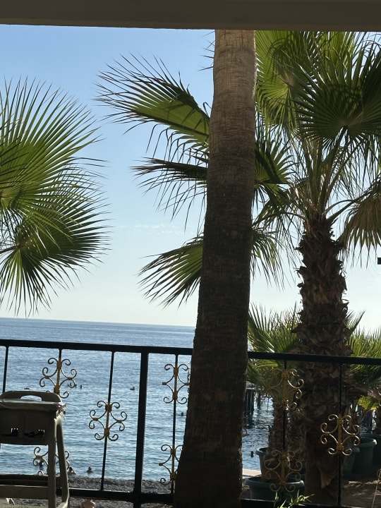 Pool Hotel Botanik Platinum