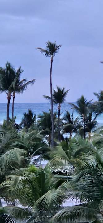 Sonstiges Hotel Riu Palace Punta Cana