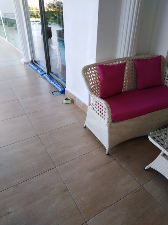 Gartenanlage Dream World Aqua Hotel