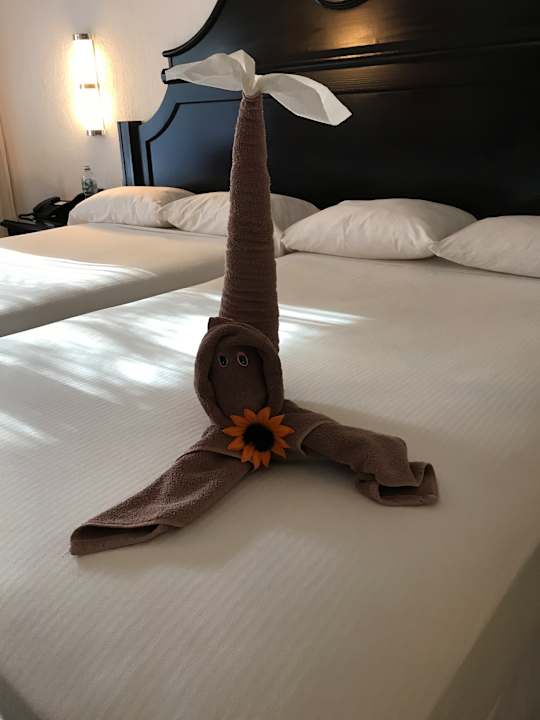 Zimmer Hotel Riu Tequila