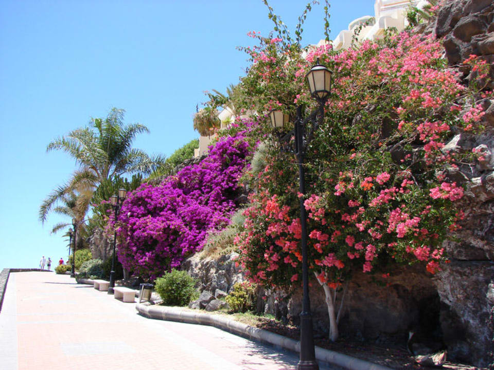 Strandpromenade Hotel Riu Palace Jandia