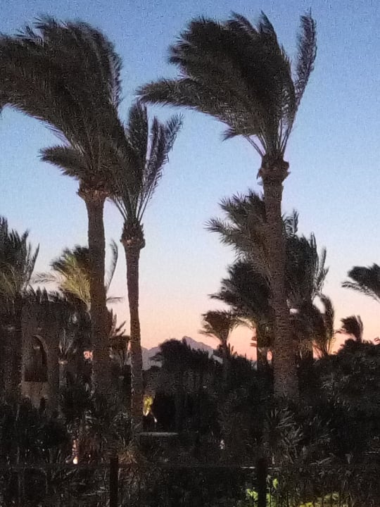 Garten Makadi Palace