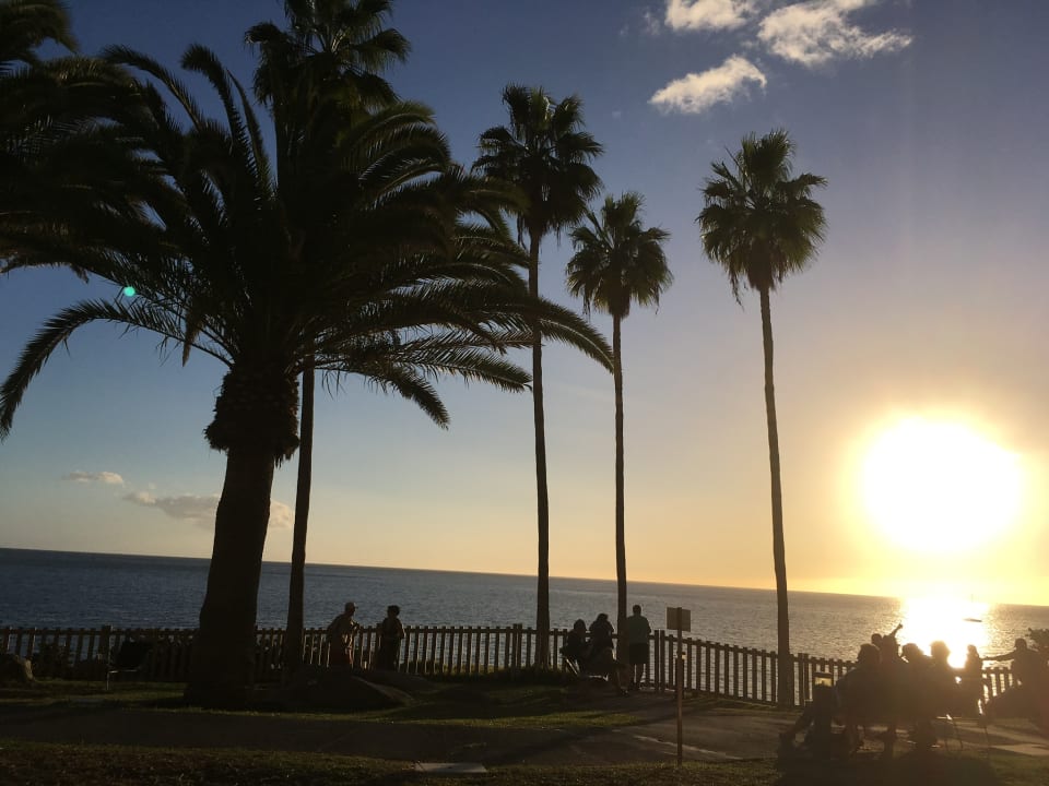 Gartenanlage Princess Taurito