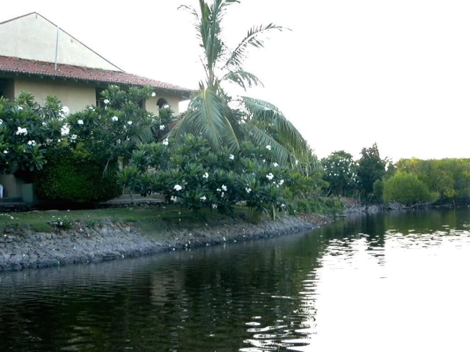 Bootsausflug mit zwei Jungen in die Lagune Club Palm Bay