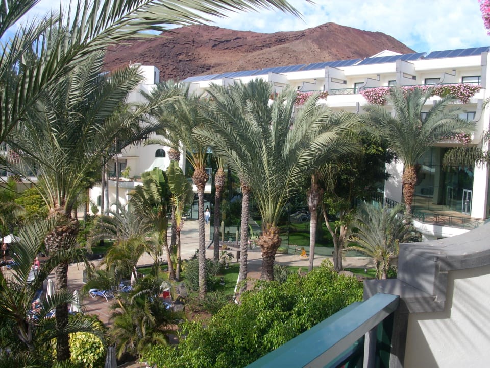 Vom Balkon auf die Gartenanlage am Pool Hipotels Natura Palace