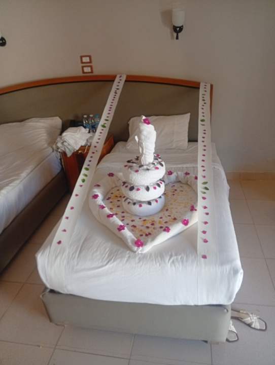 Zimmer Regina Resort and Aqua Park Hurghada