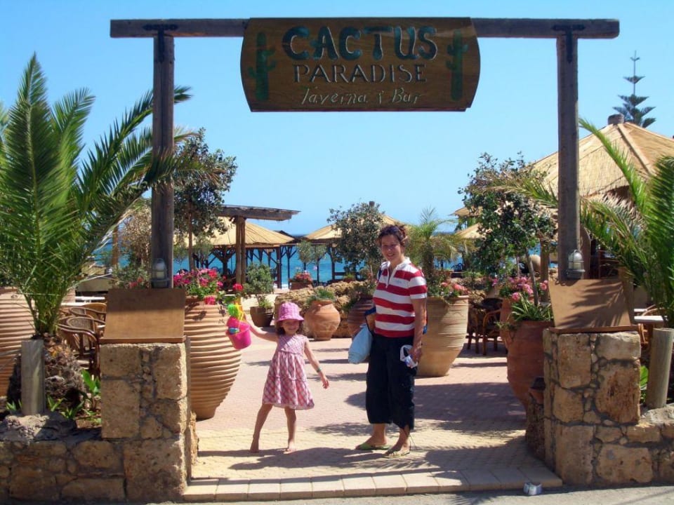 Cactus- Paradies- Bar -Taverne Cactus Beach