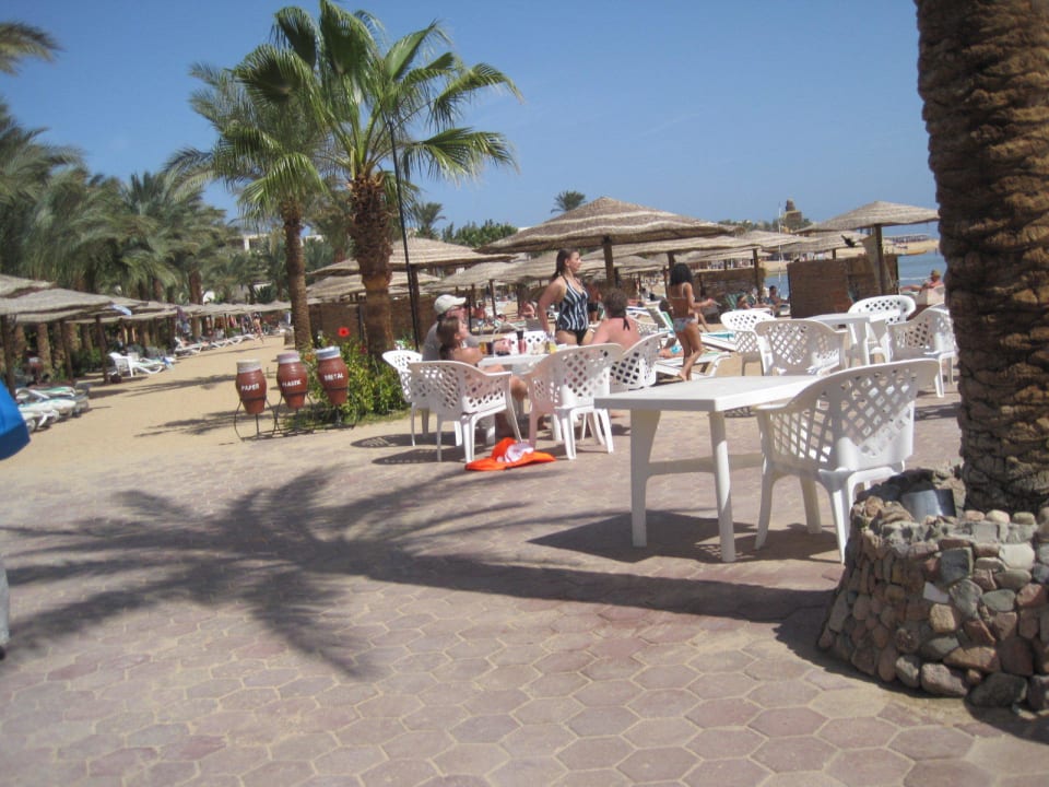 Beachbar Terrasse Fort Arabesque Resort, Spa & Villas