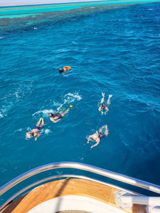 Sport & Freizeit Pickalbatros Aqua Blu Resort - Hurghada