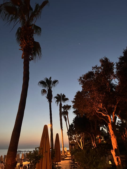 Ausblick Arum Barut Collection
