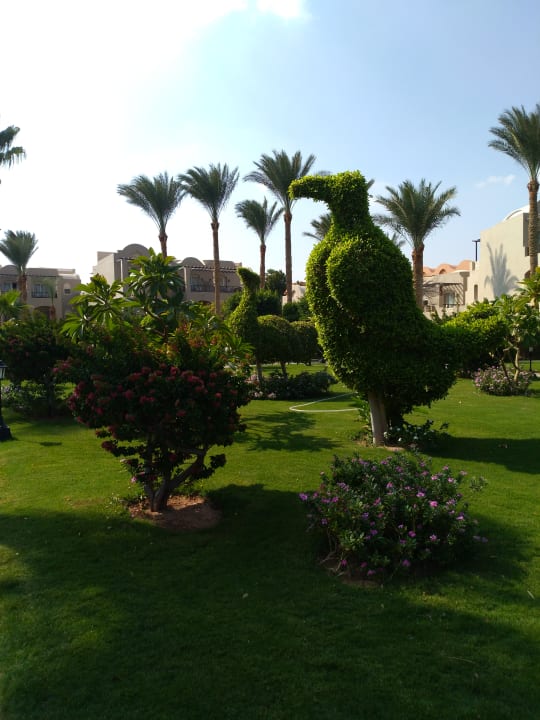 Garten Jaz Makadi Oasis Resort