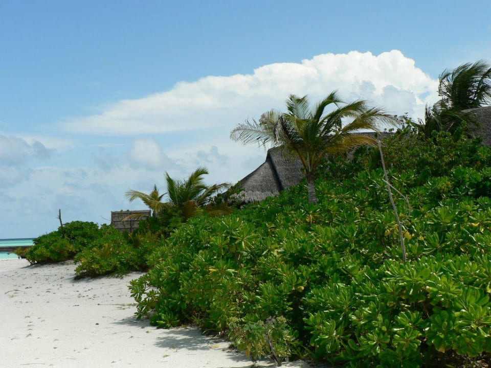 Strand Anantara Dhigu Maldives Resort