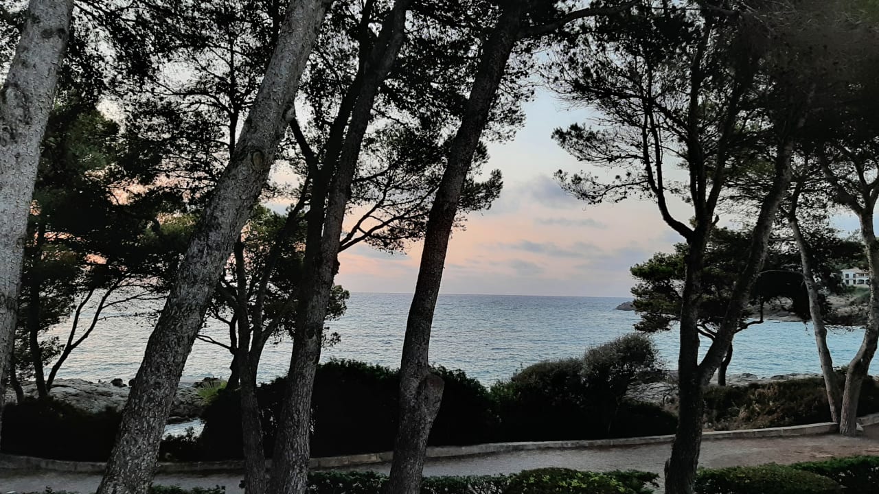 Ausblick Iberostar Waves Pinos Park