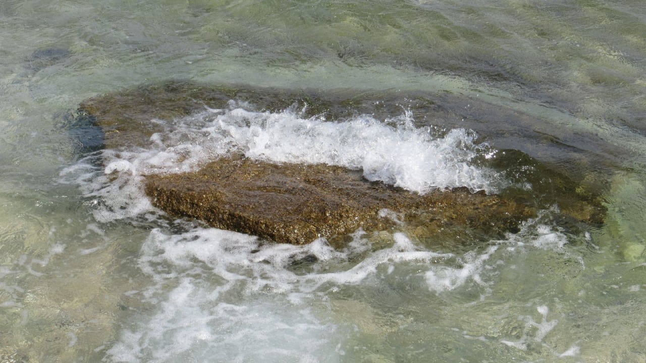 Selbst erklärend Coral Hills Resorts & SPA