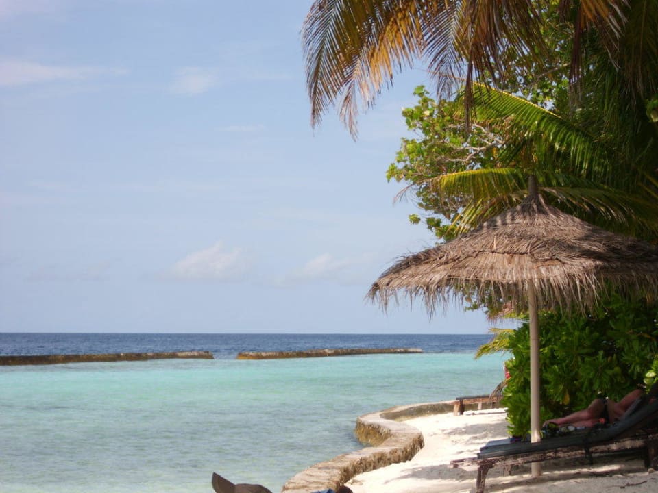 Strandabschnitt Ellaidhoo Maldives by Cinnamon