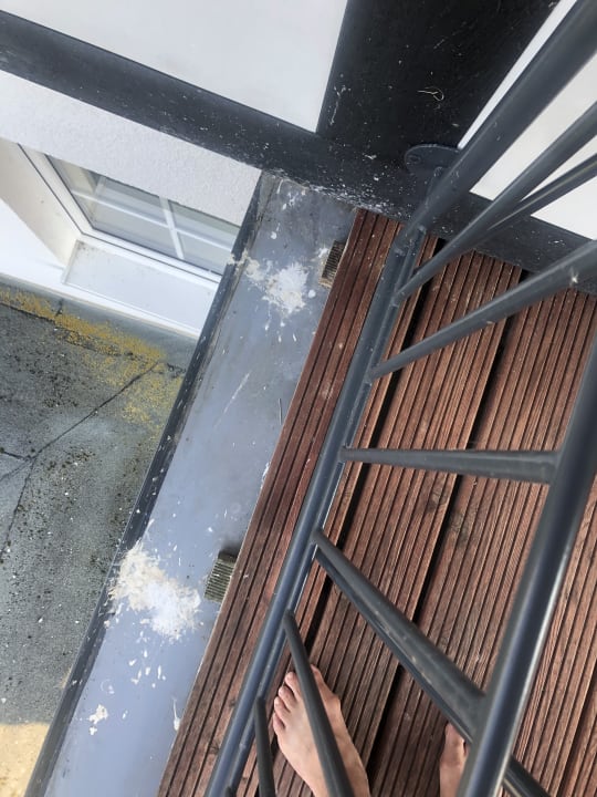 Zimmer Familienhotel Ebbinghof