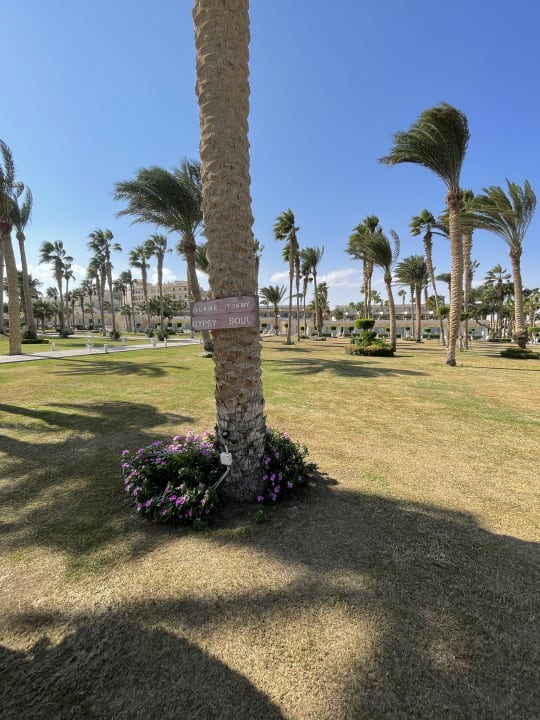 Gartenanlage Meraki Resort (Adults Only)