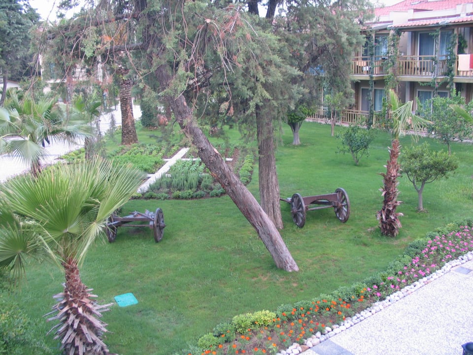 Gartenanlage Paloma Oceana
