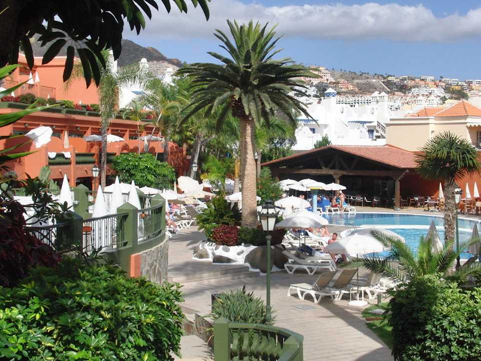 Poolanlage mit Bistro Adrián Hoteles Colón Guanahaní - Adults only