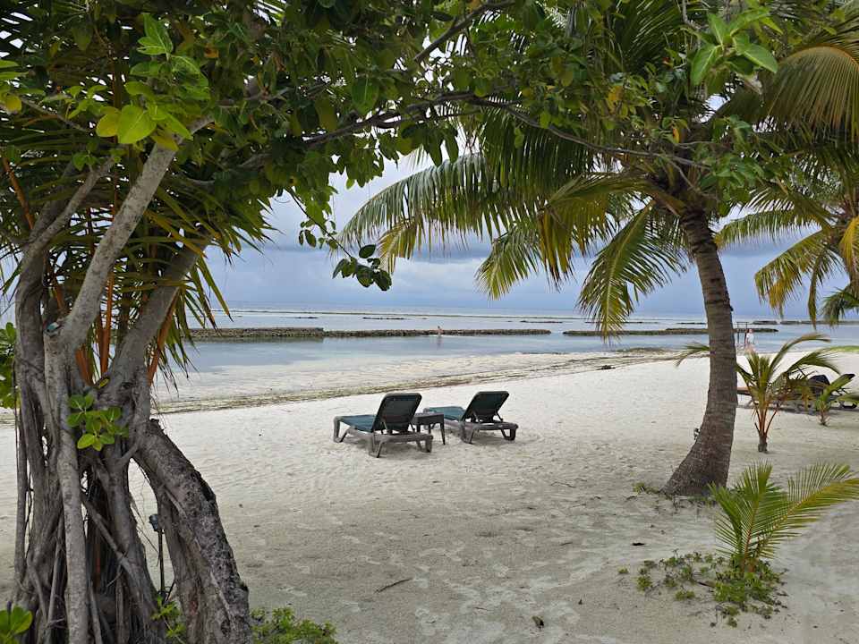 Außenansicht Kuredu Island Resort & Spa