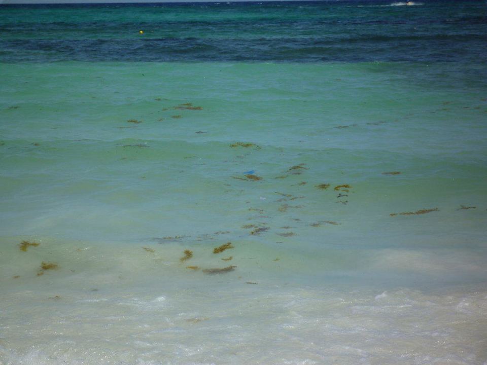 Meer am Strand Grand Palladium Kantenah Resort & Spa