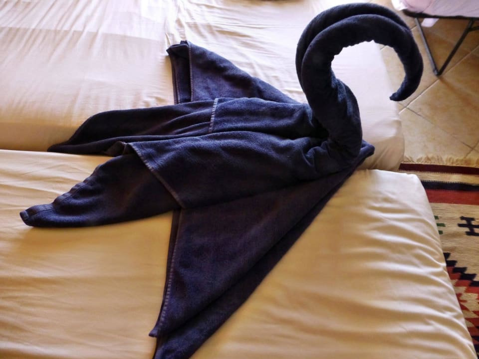 Zimmertiere Hotel Gorgonia Beach Resort