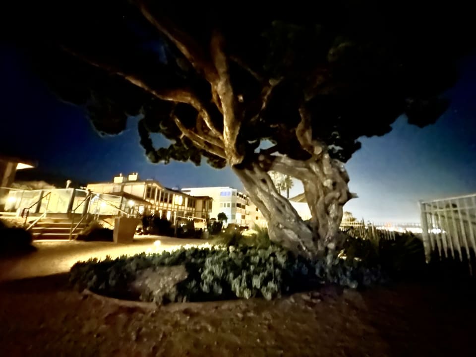 Ausblick Hotel Cottage Inn By the Sea