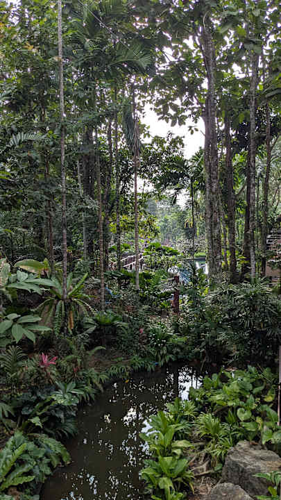 Ausblick Khao Lak Merlin Resort