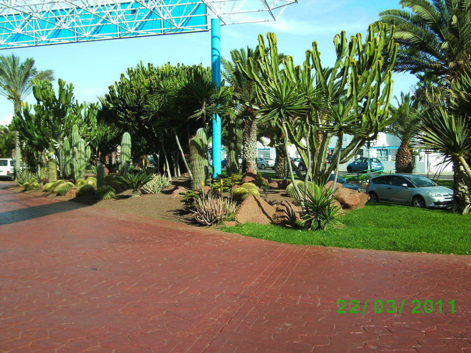 Eingang Barceló Fuerteventura Mar