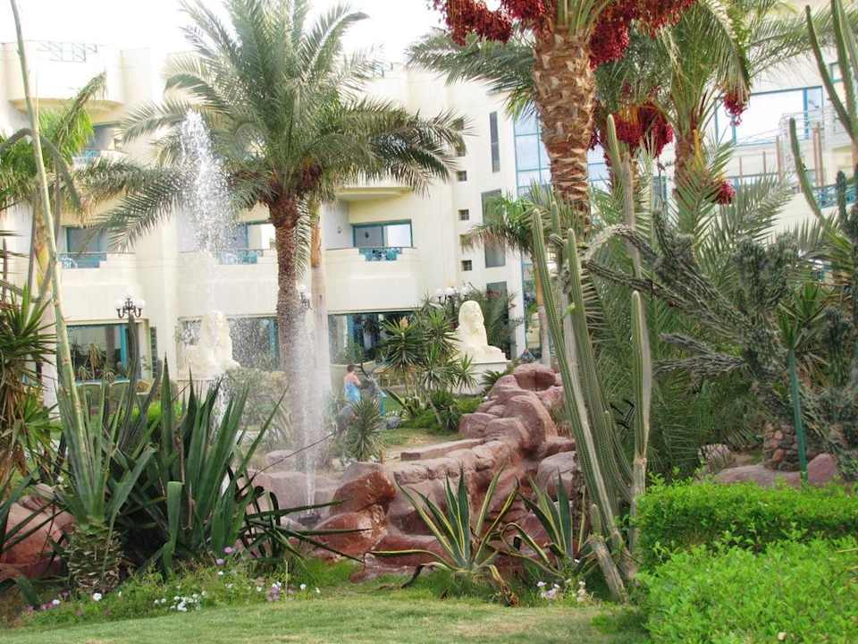 Zieleń Moreno Horizon Spa & Resort