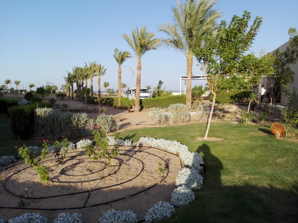 Gartenanlage Steigenberger Makadi Hotel - Adults only