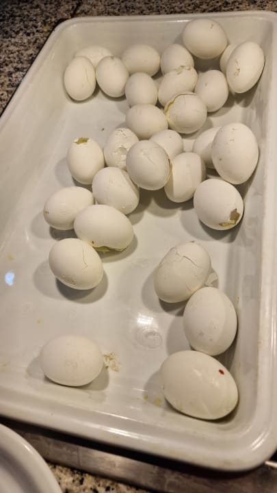 Gastro Hotel Paradis Palace