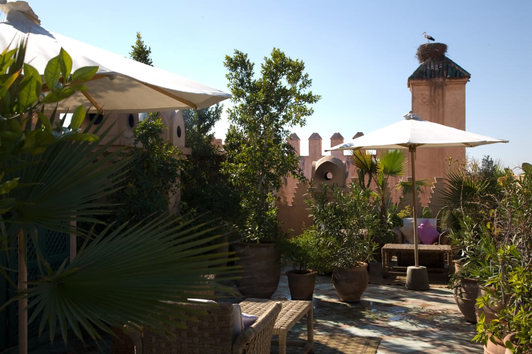 Gorgeous roof gardens Hotel Dar Les Cigognes by Sanssouci Collection