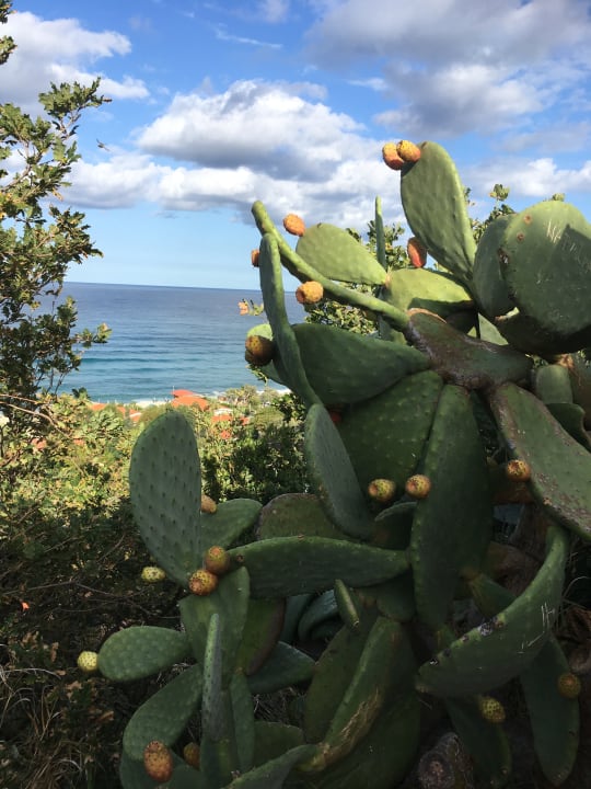 Ausblick TUI SUNEO La Conchiglia