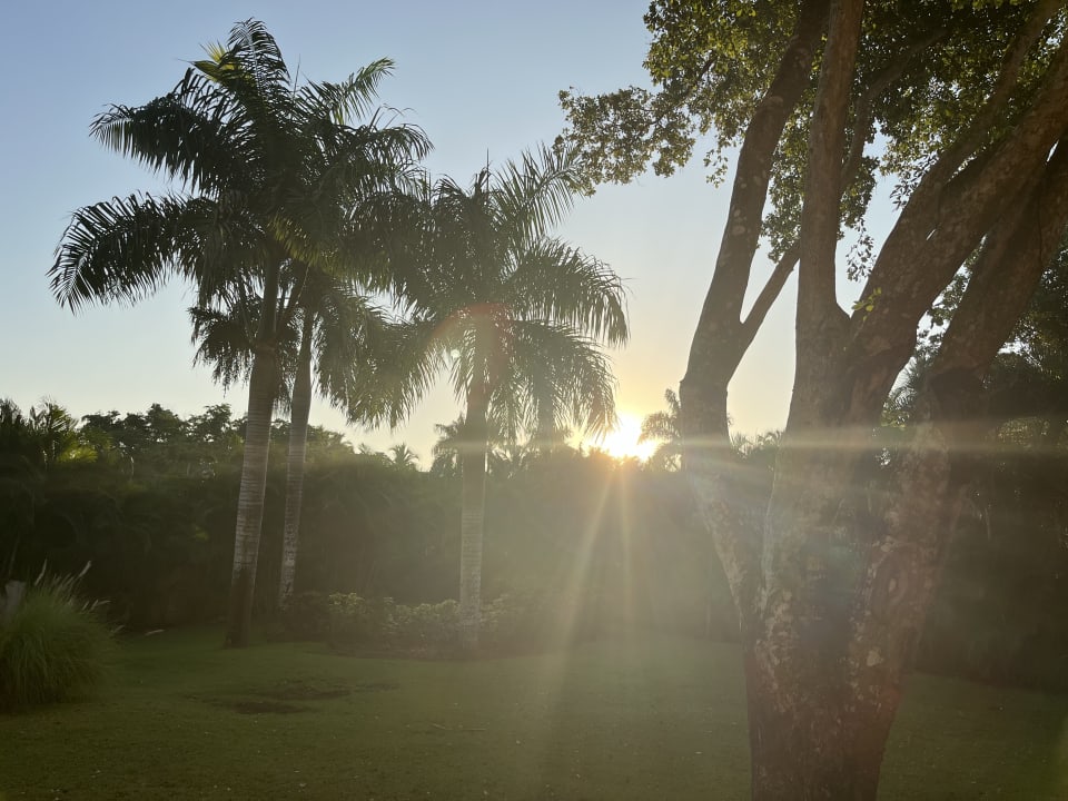 Gartenanlage Hotel Viva Dominicus Palace by Wyndham-All Inclusive Resort