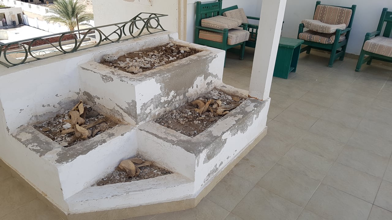 Lobby Shams Safaga Resort